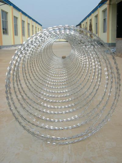 安溪縣刀片刺絲
